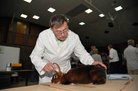 FOIRE DE MONTBARD 2015 ECHO DES COMMUNES 