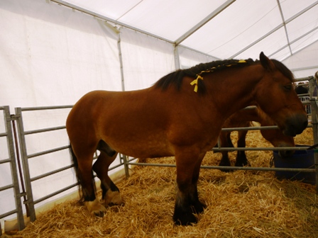 FOIRE DE MONTBARD 2015 ECHO DES COMMUNES