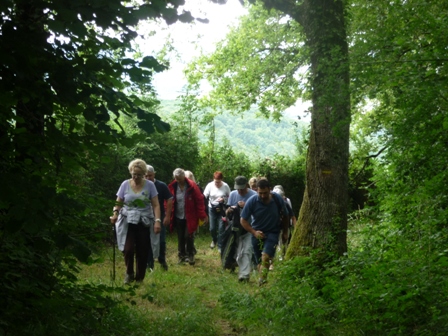 OT ET COTE D OR TOURISME 2015 ECHO DES COMMUNES
