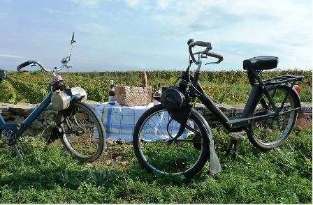 OT ET COTE D OR TOURISME 2015 ECHO DES COMMUNES