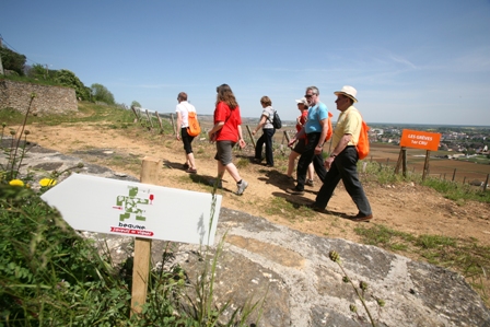 OT ET COTE D OR TOURISME 2015 ECHO DES COMMUNES