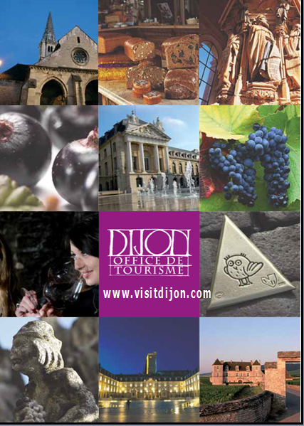 OT DIJON BILAN 2015/2015 ECHO DES COMMUNES