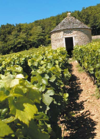 OT DIJON BILAN 2015/2015 ECHO DES COMMUNES