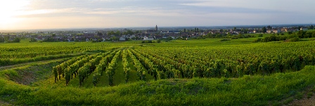 OT ET COTE D OR TOURISME 2015 ECHO DES COMMUNES OT ET COTE D OR TOURISME 2015 ECHO DES COMMUNES