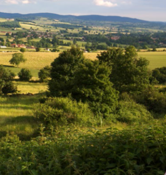 REGION BOURGOGNE APPEL A PROJET PROTECTION DU BOCAGE