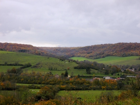 REGION BOURGOGNE APPEL A PROJET PROTECTION DU BOCAGE
