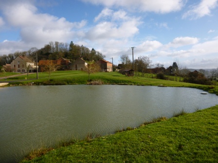 ROUTES DES AMPHIBIENS ST SEINE ECHO DES COMMUNES 