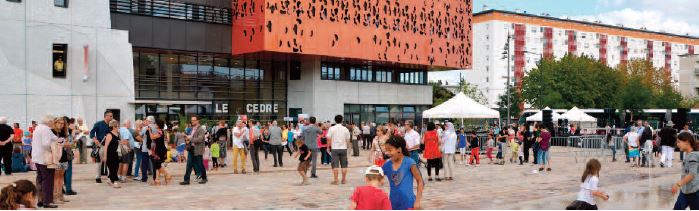 Le c&egrave;dre de Chen&ocirc;ve. Echo des communes.