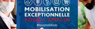 La plateforme « mobilisation emploi » s'enrichit avec des offres d'emplois saisonniers
