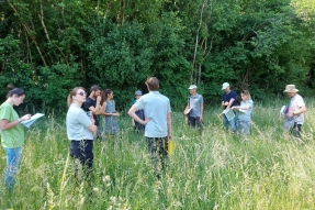 Parc national de forêts : le concours “Prairies et Parcours” revient pour une quatrième édition